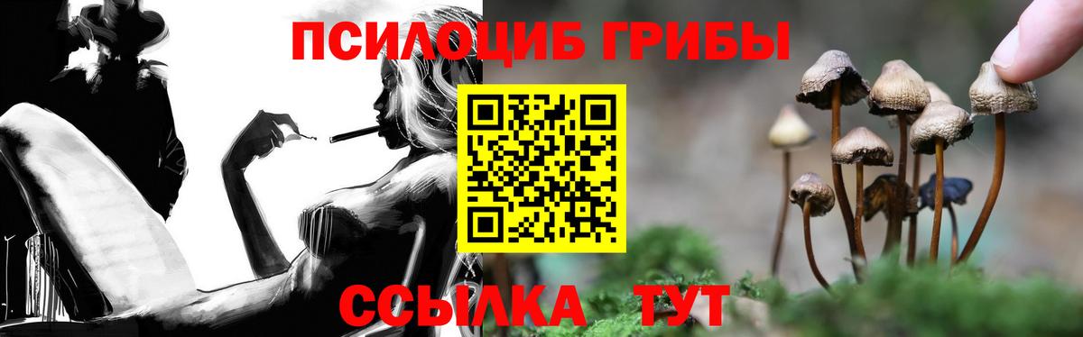 Братск  Галлюциногенные грибы ЛСД  Вход с VPN  Галлюциногенные грибы мицелий 